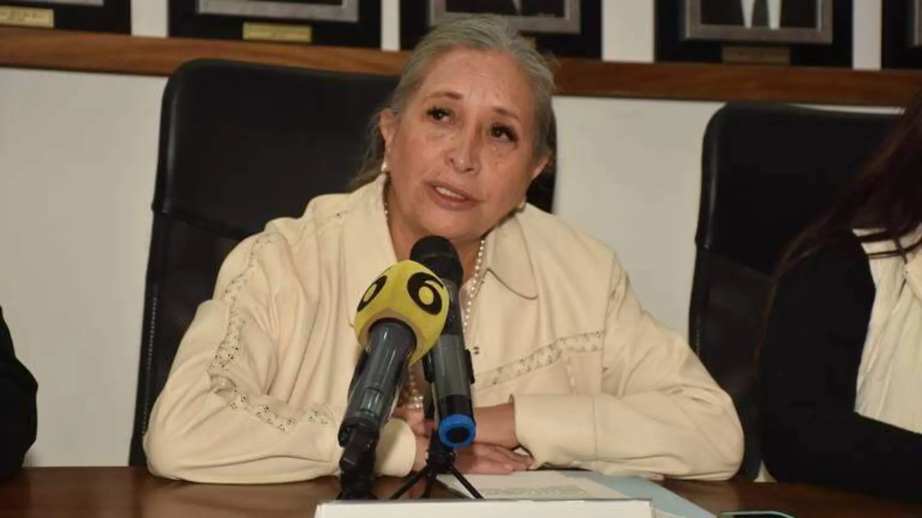 Lourdes Medina Ortega, buscara la dirigencia nacional de CANACINTRA